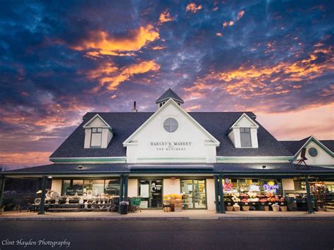 harkens market landscape